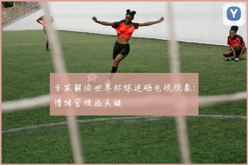 专家解读世界杯球迷砸电视现象：情绪管理成关键
