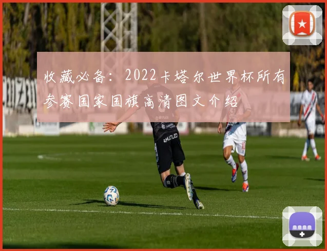 收藏必备:2022卡塔尔世界杯所有参赛国家国旗高清图文介绍