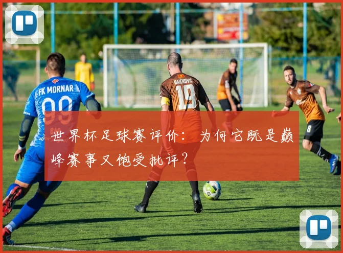 世界杯足球赛评价:为何它既是巅峰赛事又饱受批评?
