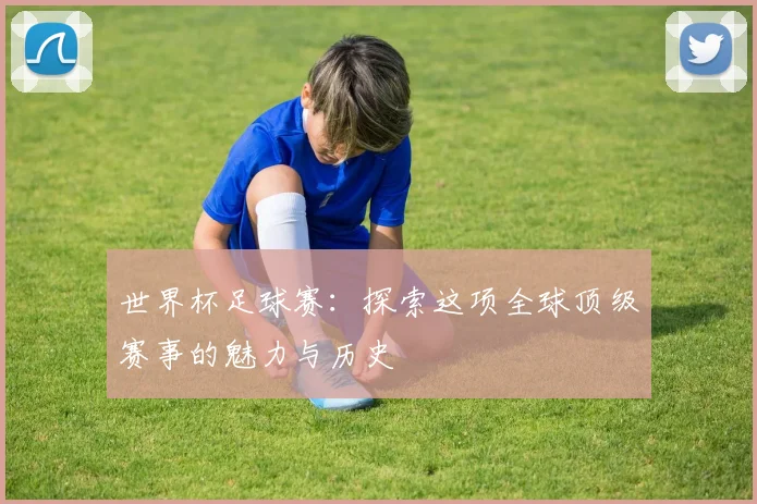 世界杯足球赛:探索这项全球顶级赛事的魅力与历史