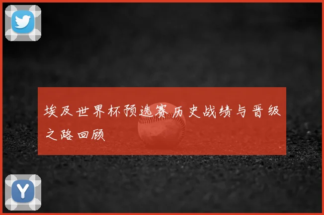 埃及世界杯预选赛历史战绩与晋级之路回顾
