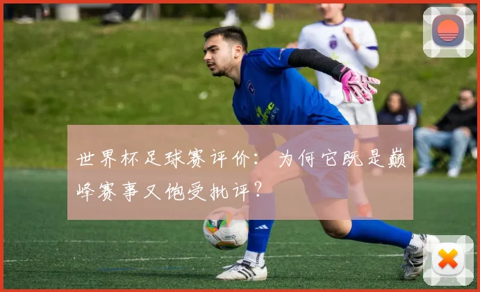 世界杯足球赛评价:为何它既是巅峰赛事又饱受批评?