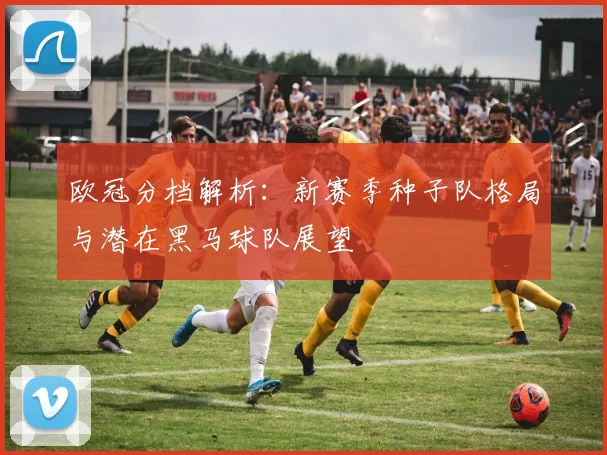 欧冠分档解析：新赛季种子队格局与潜在黑马球队展望
