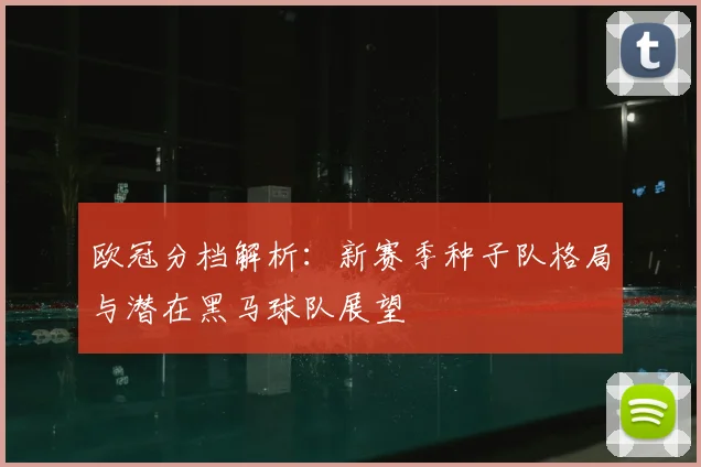 欧冠分档解析：新赛季种子队格局与潜在黑马球队展望