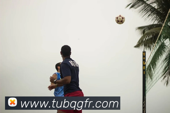 九游官网网页版首页服务体系